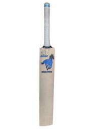 Canadian Willow Leather Ball Cricket Bat
